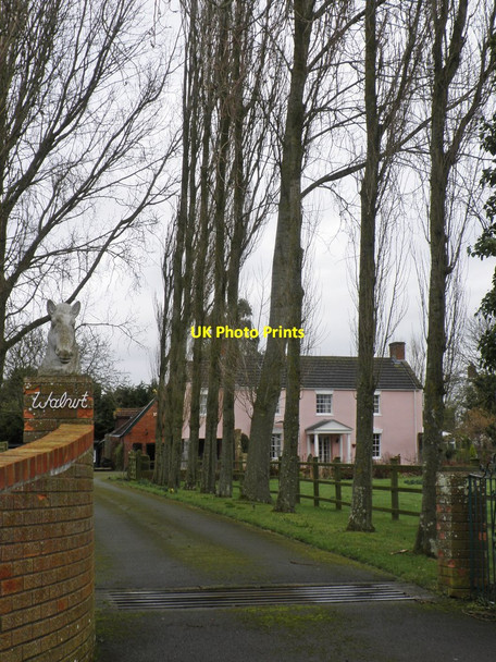 Photo 6"x4" Walnut Farm, Eastertown Eastertown\/ST3454 c2014