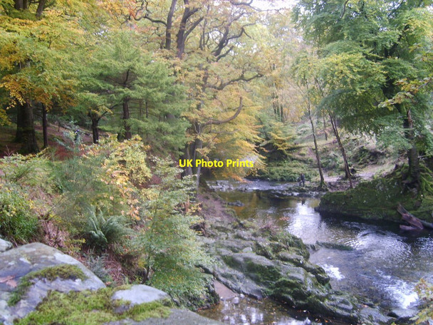 Photo 6"x4" The Shimna River immediately downstream of Foley's Bridge Newcastle\/J3732 c2012