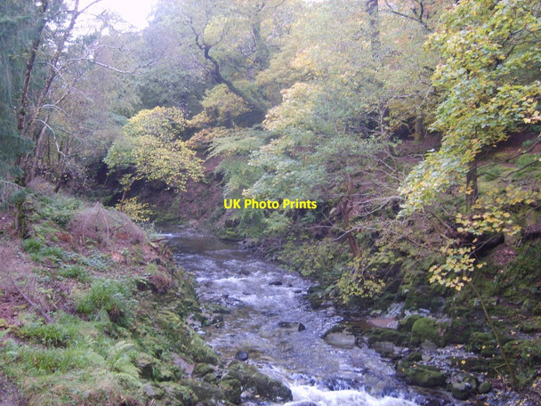 Photo 6"x4" The Shimna River immediately above Foley's Bridge Newcastle\/J3732 c2012