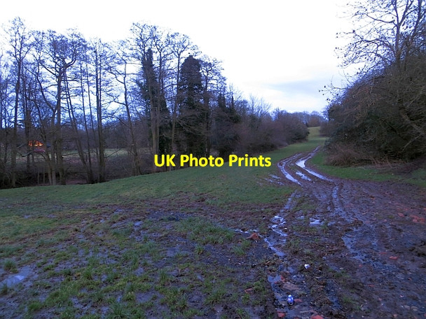 Photo 6"x4" Muddy track by the Ledwyche Brook Caynham\/SO5473 c2014