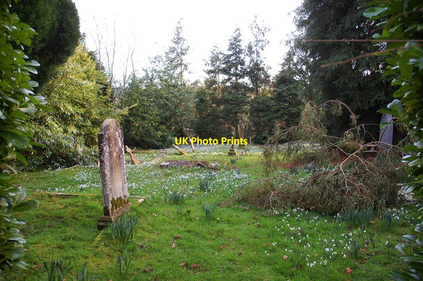 Photo 6"x4" Old graveyard at St. Peter's Church, Astley, Worcs Astley\/SO7867 c2014