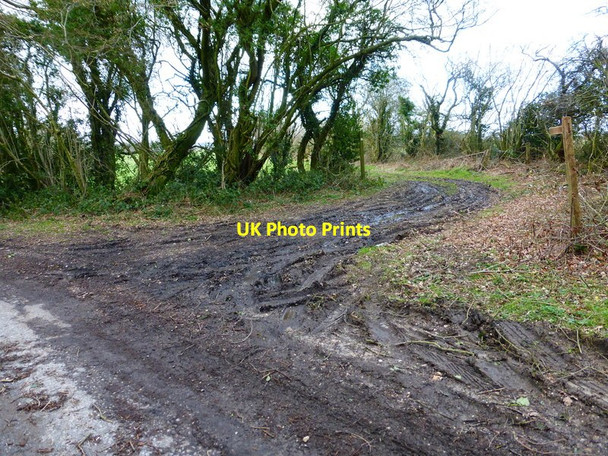 Photo 6"x4" Footpath junction with lane north of Hermitage Farm Colemore c2014