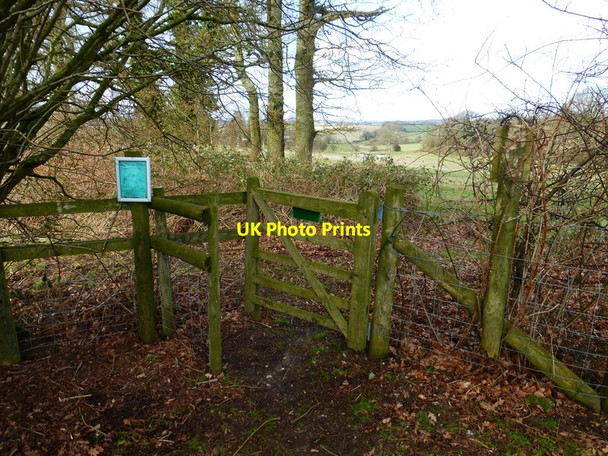 Photo 6"x4" Footpath gate south of Colemore Colemore c2014