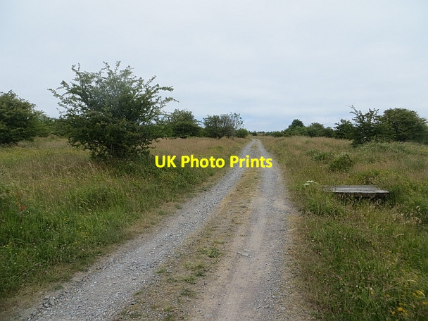 Photo 6"x4" Kirkcudbright Ranges Dundrennan c2013