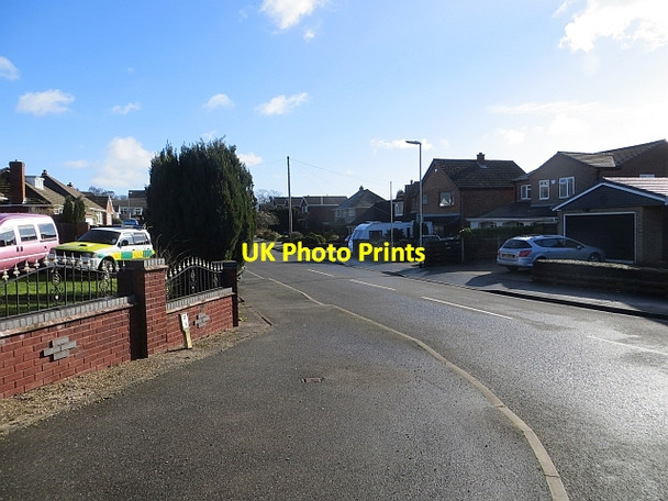 Photo 6"x4" Tudor Road Dogingtree Estate c2014