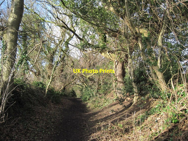 Photo 6"x4" Track from Gayton Farm Road Gayton\/SJ2780 c2014