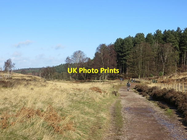 Photo 6"x4" Track, Sherbrook Valley Bednall Head c2014