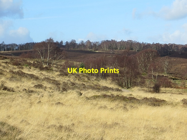 Photo 6"x4" Sherbrook Valley Bednall Head c2014
