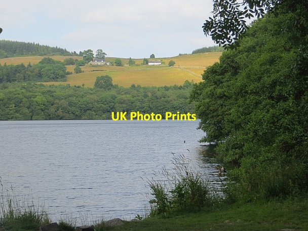 Photo 6"x4" Loch Arthur Beeswing c2013