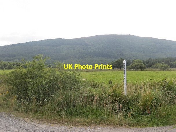 Photo 6"x4" Farm sign, Drumgans Beeswing c2013