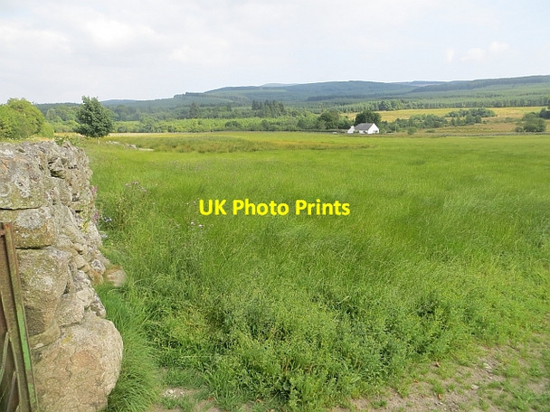 Photo 6"x4" Field near Auchengray Beeswing c2013