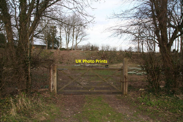 Photo 6"x4" Small  disused pit, but not white White Pit c2014