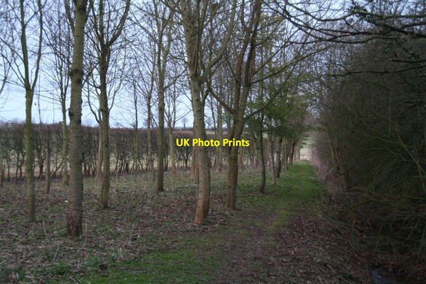 Photo 6"x4" Converging lines on the footpath from Valley Farm to Burwell Park Swaby c2014