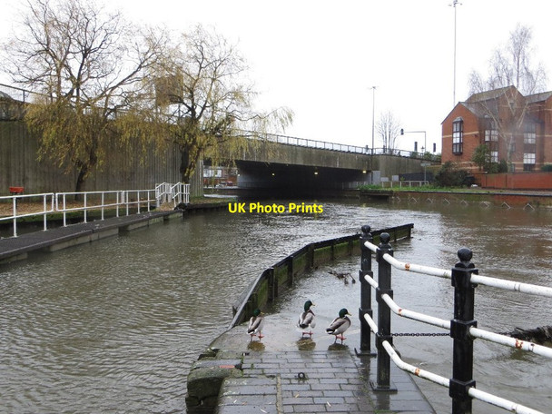 Photo 6"x4" Ducks on the Lock Reading c2013