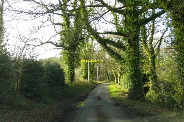 Photo 6"x4" Tree lined lane by Old Hat Hell Corner\/SU3864 c2014