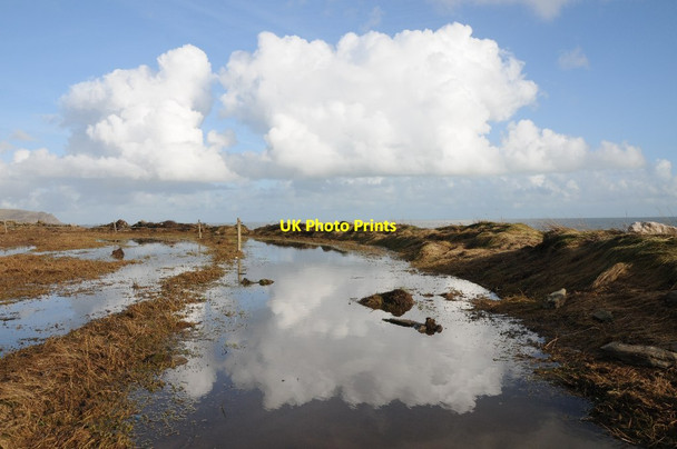 Photo 6"x4" Reflections in a waterlogged coast path East Prawle c2014