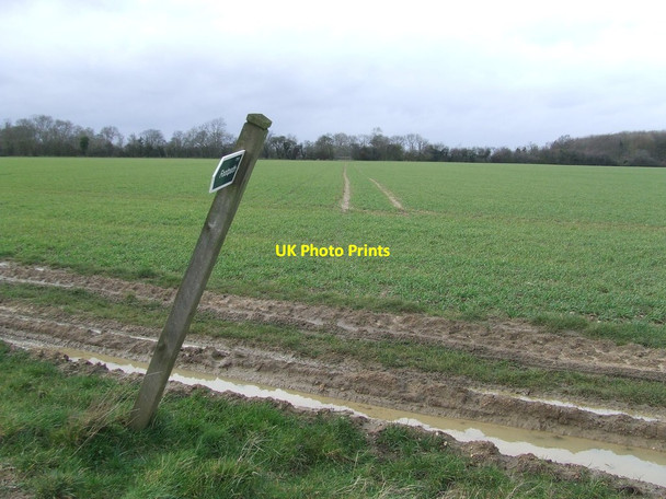 Photo 6"x4" Footpath And Footpath Sign Wickham Market c2014