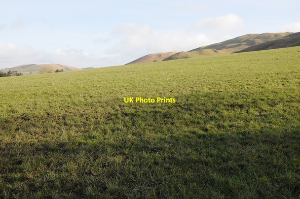 Photo 6"x4" Field beside Bwlch-y-cefn Llandegley c2014