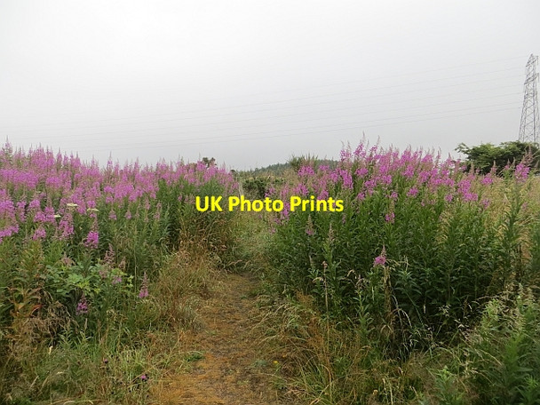 Photo 6"x4" Path, Hare Law Crosshill\/NT1796 c2013