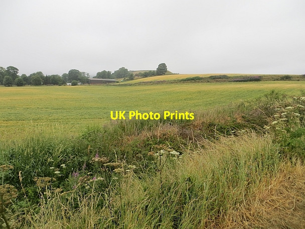 Photo 6"x4" Farmland near Lochore Ballingry c2013