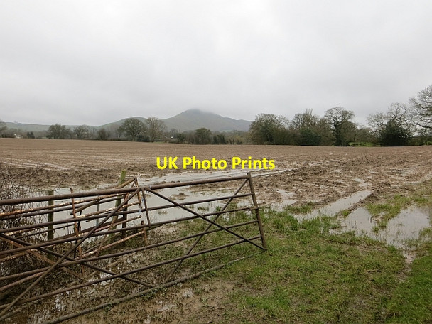 Photo 6"x4" A muddy field Leebotwood c2014