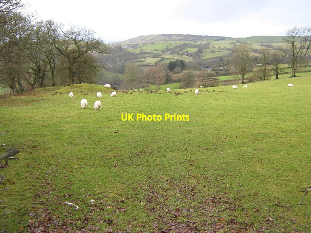 Photo 6"x4" Field near Tyddyn-bach Bettws Gwerfil Goch c2009