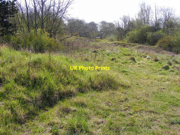 Photo 6"x4" Bilston Field Coseley c2010