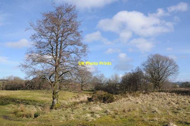 Photo 6"x4" Rough grassland Dolau\/SO1467 c2014