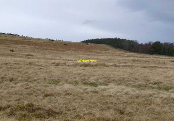 Photo 6"x4" Looking north across the eastern slopes of Heddon Hill Ilderton c2014