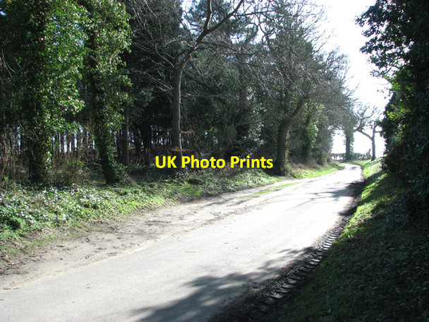 Photo 6"x4" Hulverhill Plantation Hulver Street c2014