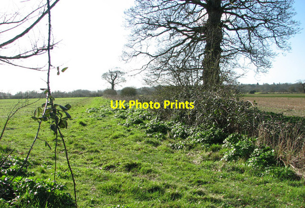 Photo 6"x4" Field boundary ditch south of Sotterley Road Hulver Street c2014