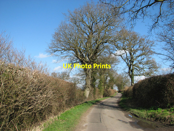 Photo 6"x4" View along Sotterley Road Hulver Street c2014
