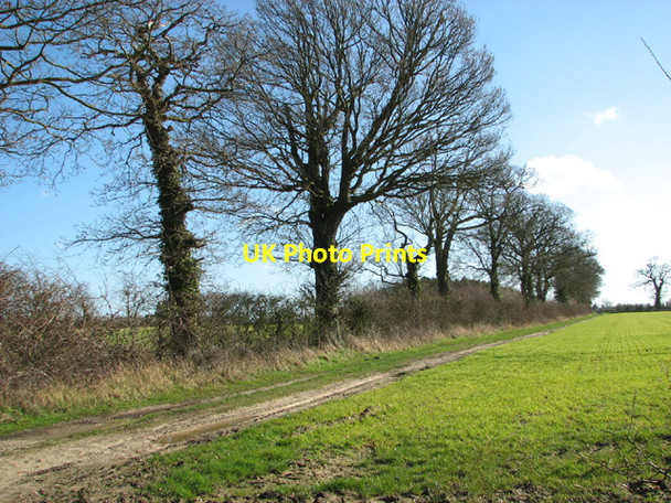 Photo 6"x4" Farm track along field boundary hedge Hulver Street c2014