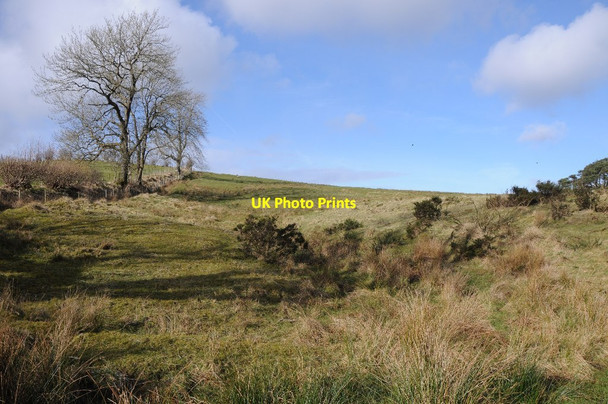 Photo 6"x4" Upland grazing near Upper Sign Dolau\/SO1467 c2014