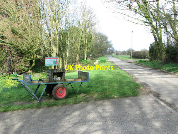 Photo 6"x4" Honesty stall by Church Farm, Stoven Stoven c2014