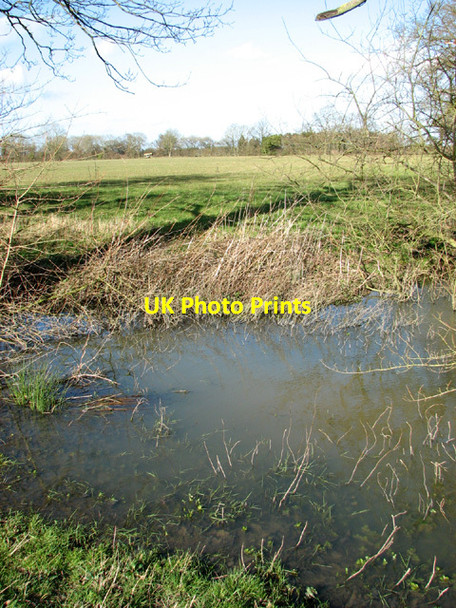 Photo 6"x4" Small pond in field West End\/TM4683 c2014