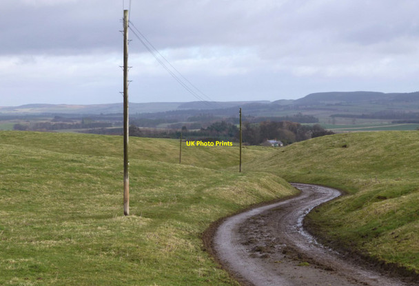 Photo 6"x4" Minor road takes to the fields Wooperton c2014