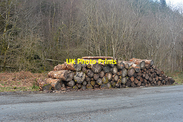Photo 6"x4" Pile of logs Cwmydwrgi c2014
