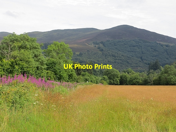 Photo 6"x4" Field near Killiecrankie Aldclune c2013