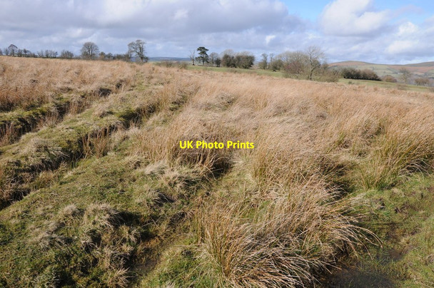 Photo 6"x4" Common land near Towerhill Farm Llanbister c2014