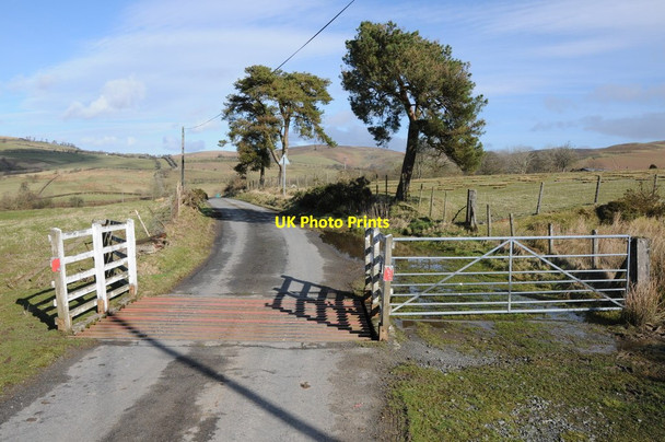Photo 6"x4" Cattle grid on Littlehill Common Llanbister c2014