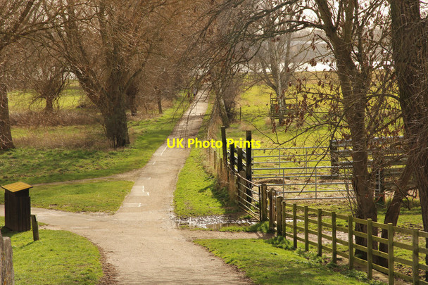 Photo 6"x4" Ferry Meadows Castor c2014