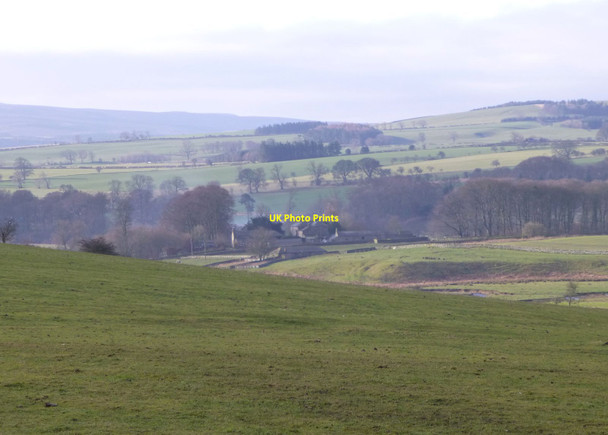 Photo 6"x4" Looking across pasture  High Trewhitt\/NU0005 c2014