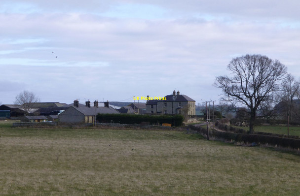 Photo 6"x4" Trewhitt Steads High Trewhitt\/NU0005 c2014
