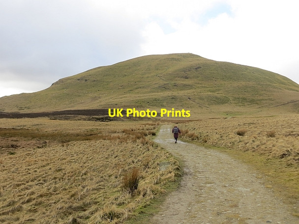 Photo 6"x4" Track towards West Lomond Gateside\/NO1809 c2014