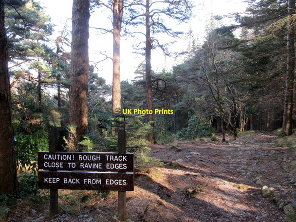 Photo 6"x4" Warning sign at the top of the lower section of the Donard Trail Newcastle\/J3732 c2014