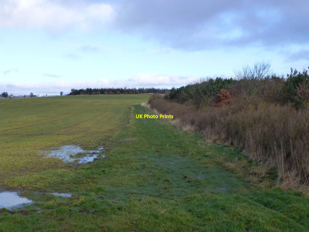 Photo 6"x4" Woods and wet arable land Cartington c2014