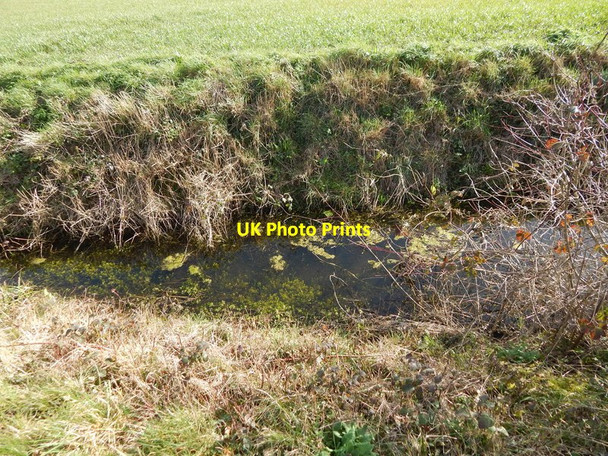Photo 6"x4" Ditch in Round Maple (West of Langley View) Edwardstone c2014