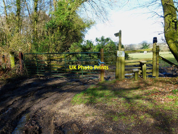Photo 6"x4" Stile and footpath with a problem at Broadhanger Froxfield Green c2014