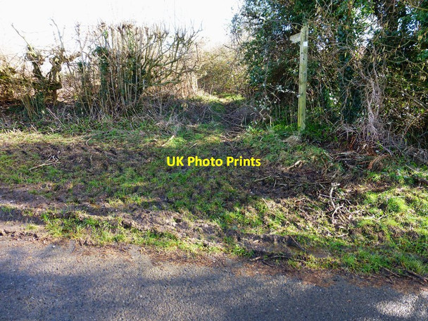 Photo 6"x4" Overgrown footpath leaves lane north of Lower Bordean Froxfield Green c2014